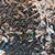 Kathy Collins Stammen's profile image
