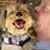 Peter Herman's profile image