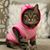 Aleida Figueredo's profile image