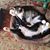 Terri McMillen's profile image