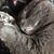 Dawn Chalker's profile image