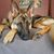 Gina Soener's profile image