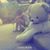 Xiaojun Chen's profile image