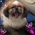 Donna Lopez Rios's profile image