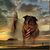 Dawn Alexandria Held's profile image