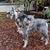 Linda Kizer-Paquette's profile image