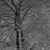 Edie Price's profile image