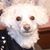 Tina Kathleen's profile image