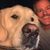 Kelly Byrne's profile image