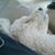 Suzan McMurray's profile image