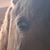 Alanna Stainbrook's profile image