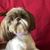 Nancy Clark's profile image