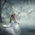Venus Arbright's profile image