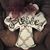 Cathy Helton's profile image