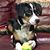 Shannon Clowry Luongo's profile image