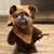 Tracy Lynn Gonia's profile image