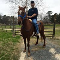 Mike Martin's profile image