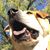 Blankenship Sarah-Donald's profile image