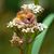 Melis Keeler's profile image