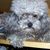 Silvia Beatriz Sain Genez's profile image