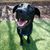 Anne Stafford Wilkerson's profile image