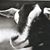 Bridget Dolan-Sullivan's profile image