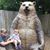 Steve Dolman's profile image