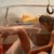Jacopo Chiccolandia Leuci Rupcich's profile image