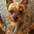 Teresa Burdett's profile image