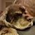 Suzy Decker's profile image