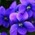 La Fleur's profile image