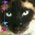 Luz Marquez's profile image