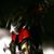 Starviin Love's profile image