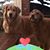 Cyndi Keefe's profile image