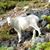 Sue Williamson's profile image
