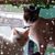 Tara Rae's profile image