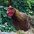 Beth Kerr-Bryant's profile image