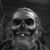 Justin Davidson's profile image