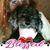 Kenny Tracy Hayhurst's profile image
