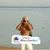 Piepsilon Pino Enrico's profile image