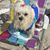 Mary Kann's profile image