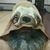 Chris Cunningham's profile image