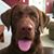 Kelly Niccoli's profile image