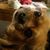 Kristine Ott's profile image