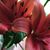 Latha Sudhakar's profile image