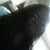 Shanita Saunders's profile image