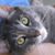Sylvia Willenberger's profile image