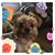 Shelia Roach's profile image