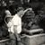 Barb Micetic Lancaster's profile image