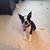 Sue Terry Widman's profile image